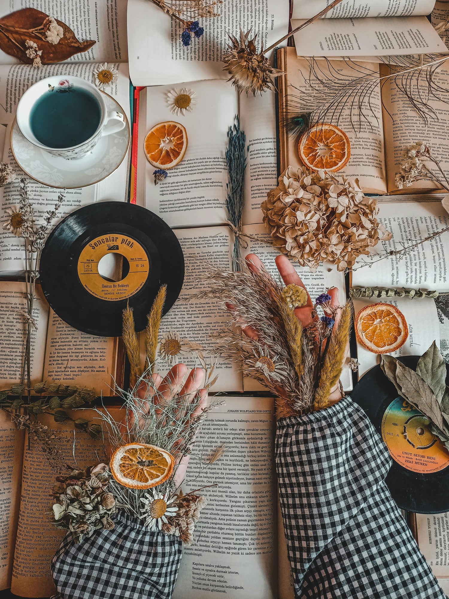 The Mono vs. Stereo Debate: Which Vinyl Pressings Sound Better?